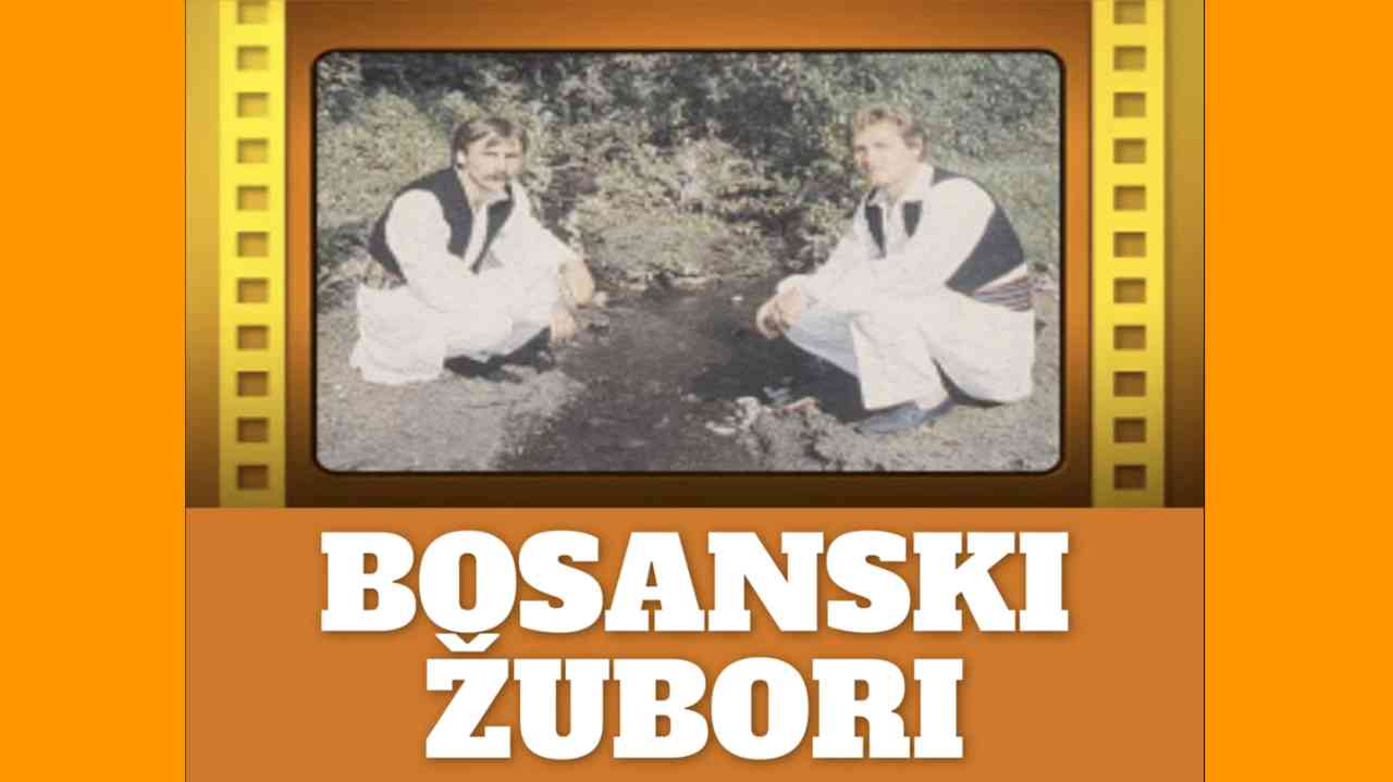 BOSANSKI ŽUBORI - Ciganska noć - TEKST + AUDIO
